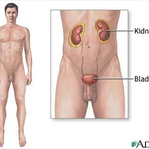 What Is Bladder Inflammation - UTI Bladder Infection - Curing It With Natural Remedies