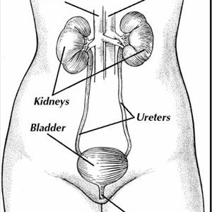 Burning Sensation During Urination Photos - Divya Medicine And Remedies For Urinary Disease: Divya Chandraprabha Vati